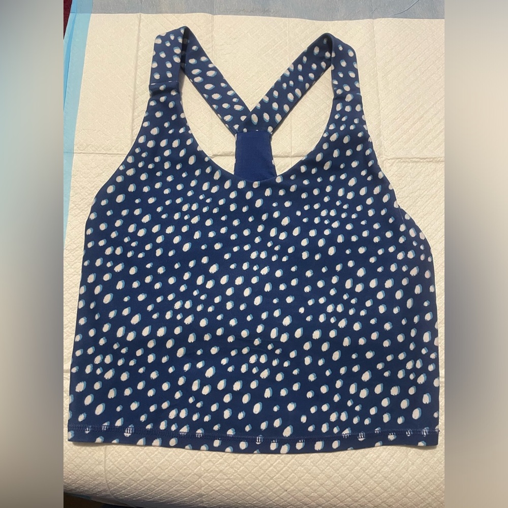 Kyodan Blue and White Polka Dot Crop Top